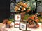Fall Decorations Farmhouse Fall Home Decor Hello Fall Signs 36 Interchangeable Sayings with 3 Wooden Frames Autumn Decorations for Office and Living Room Tiered Tray Decor Table Desk Wall Decor Seasonal Decoration Holiday Gift